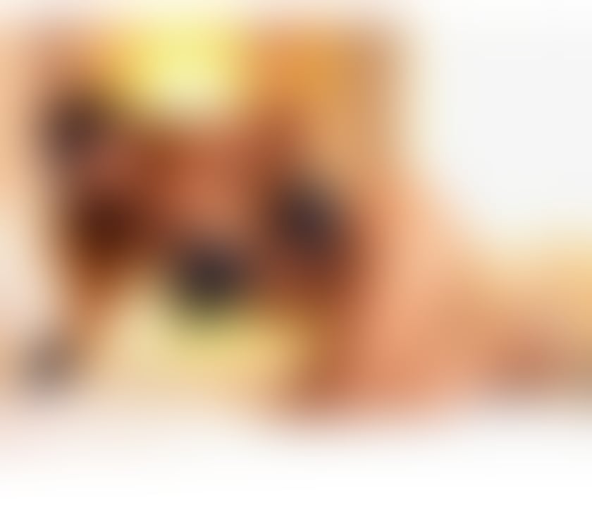 Escorts West Yorkshire Leeds - Photos for 🌹🌹🌹Mélissa Queen 👑💖 one week 🌹🌹🌹