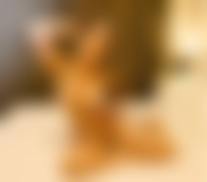 Escorts Oxfordshire Oxford - Photos for Relaxing and Revitalising Massage by English Sadie