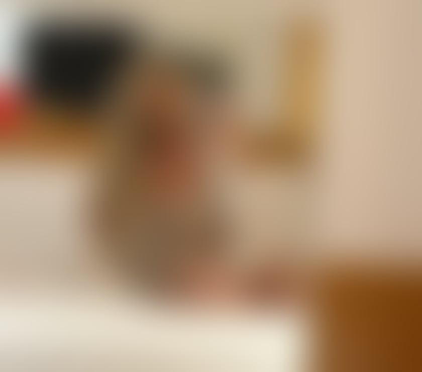 Escorts Tyne and Wear Newcastle upon Tyne - Photos for New escort 💯 in your city 🏙️ real photo❤️