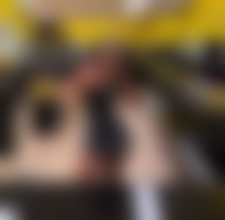 Escorts Leicestershire Leicester - 