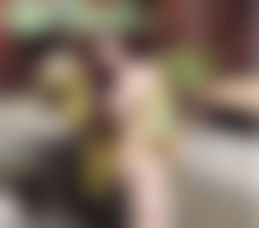 Escorts and Massages Nottingham City Centre Nottingham - Photos for Gorgeous Asian Escort✨Nottingham 07348533852