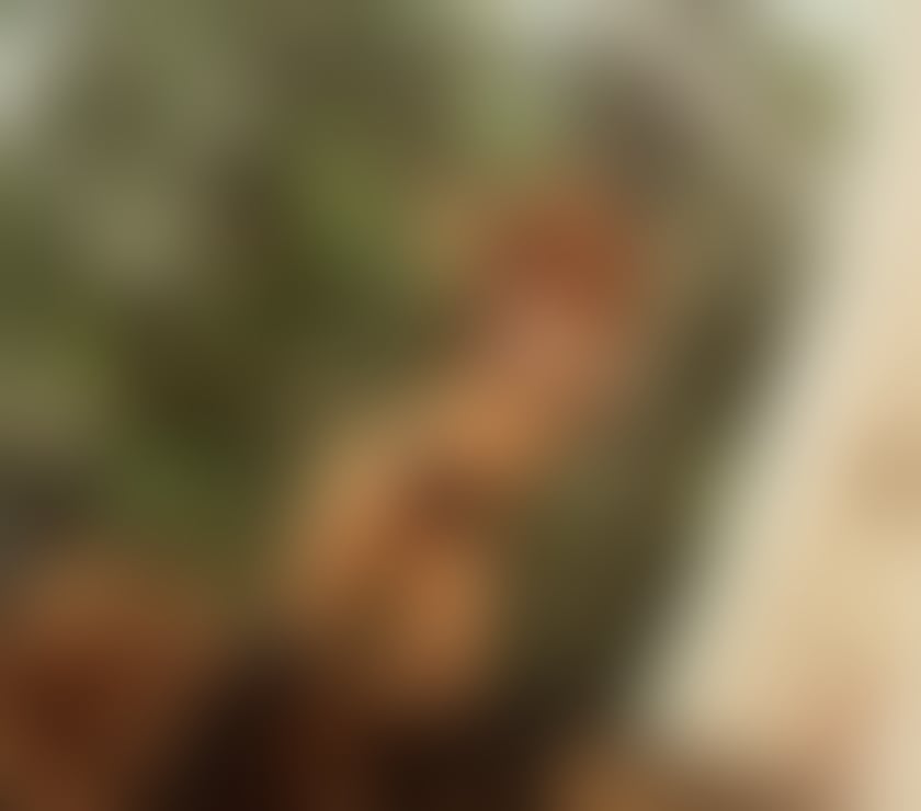 Trans Escorts Glasgow Glasgow City Centre - Glasgow - Photos for PURE BRAZILIAN TS READY 🥳🔥