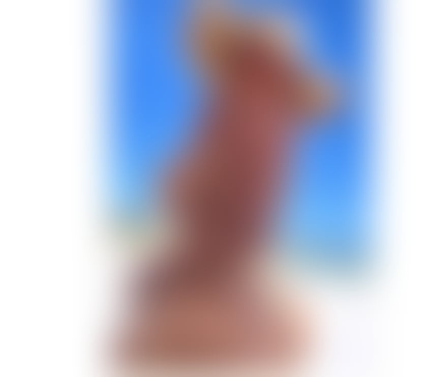 Escorts Leicester City Centre Leicester - Photos for MARIA 🔥 THE BEST SERVICES🔞🔝