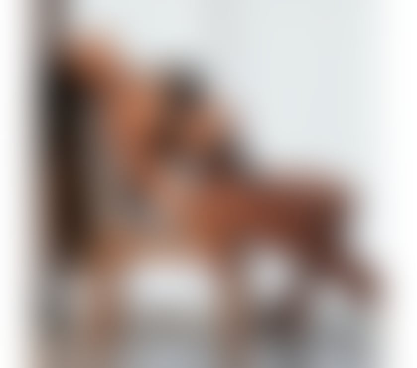 Escorts Norfolk Norwich - Photos for Lara 🍯🍭! High class 🫦party girl