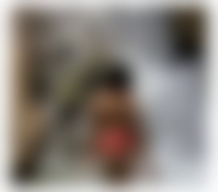 Escorts Essex Colchester - Photos for 💗HOT LAILA THAI OIL NURU MASSAGE 💦