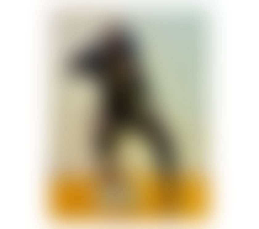 Escorts West Midlands Birmingham - Photos for JennyDrip (100% PHOTOS)❤️🥰