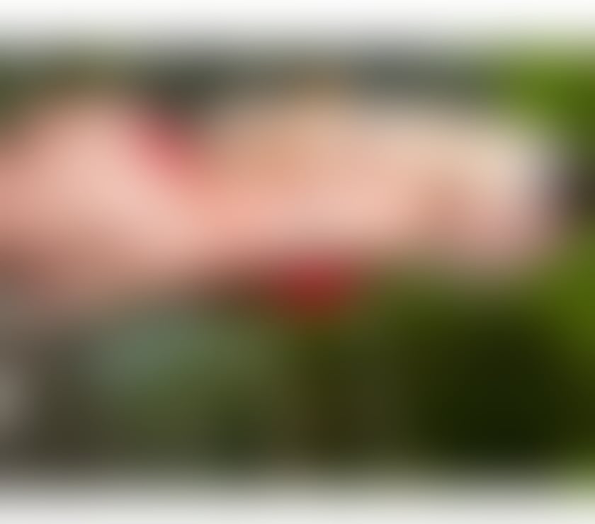 Escorts Shropshire Shrewsbury - Shropshire - Photos for LAURA 🌸BLONDE👅EVERYTHING PINK 🔥 PARTY-GFE 🥰