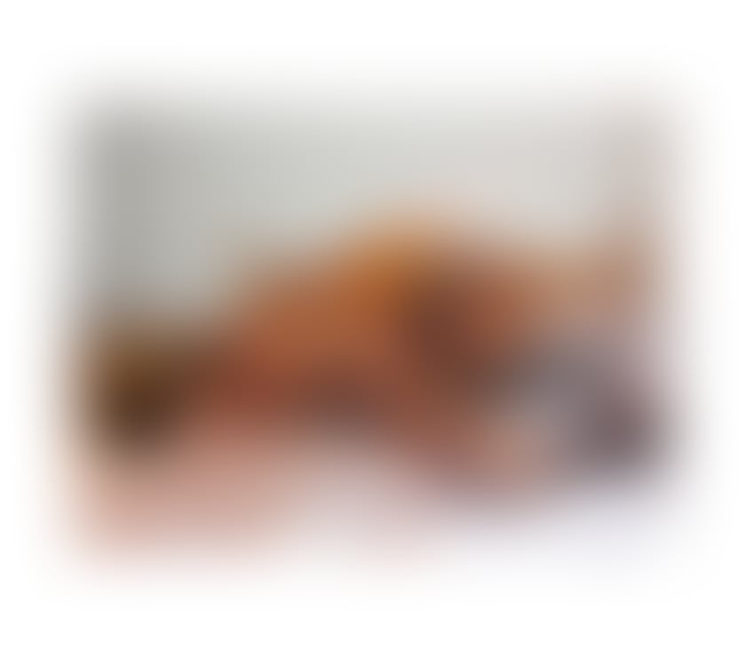 Trans Escorts Leicestershire Leicester - Photos for 🇧🇷 BLACK MODEL 🇧🇷