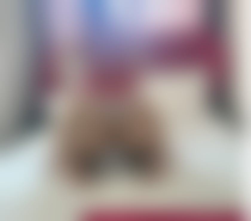 Escorts West Yorkshire Kirklees - Photos for Hello I’m new here party girls