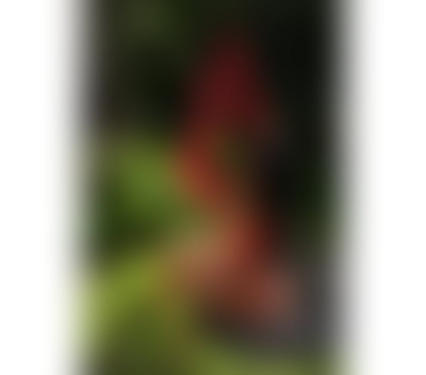 🎉Camila slut 👅 100% real party 🥳