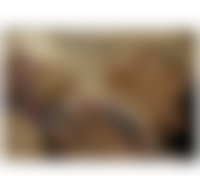 Escorts Essex Colchester - Photos for Brazilian hottie 🔥💯