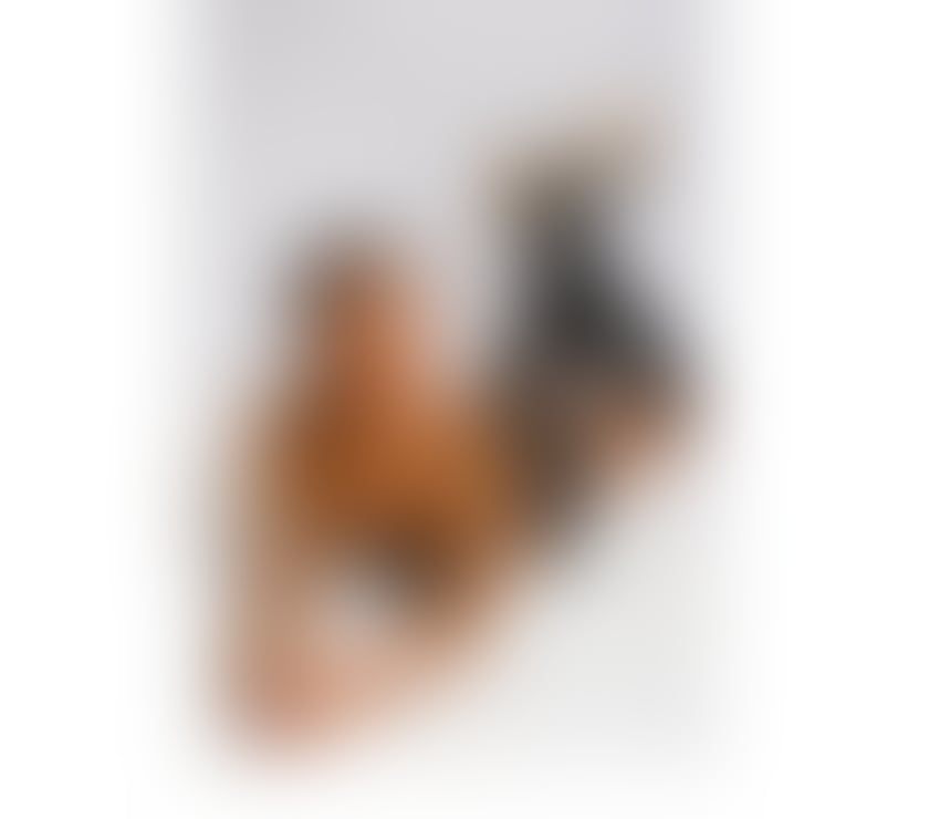 Trans Escorts Leicestershire Leicester - Photos for Ts Perola Brazilian Hot Party