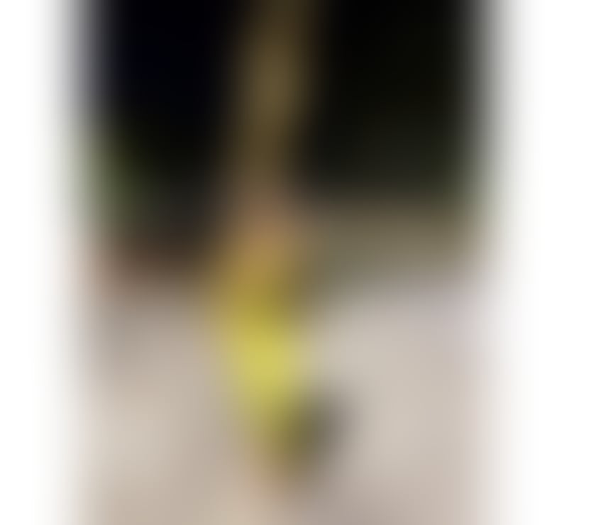 Escorts Hampshire Portsmouth - Photos for Brazilian Girl 🇧🇷