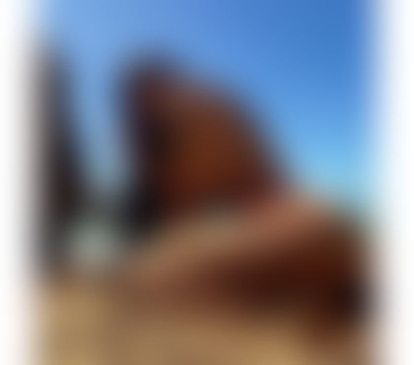 Escorts East London Redbridge - Photos for Penelope party girl🇧🇷🔥🍾gfe