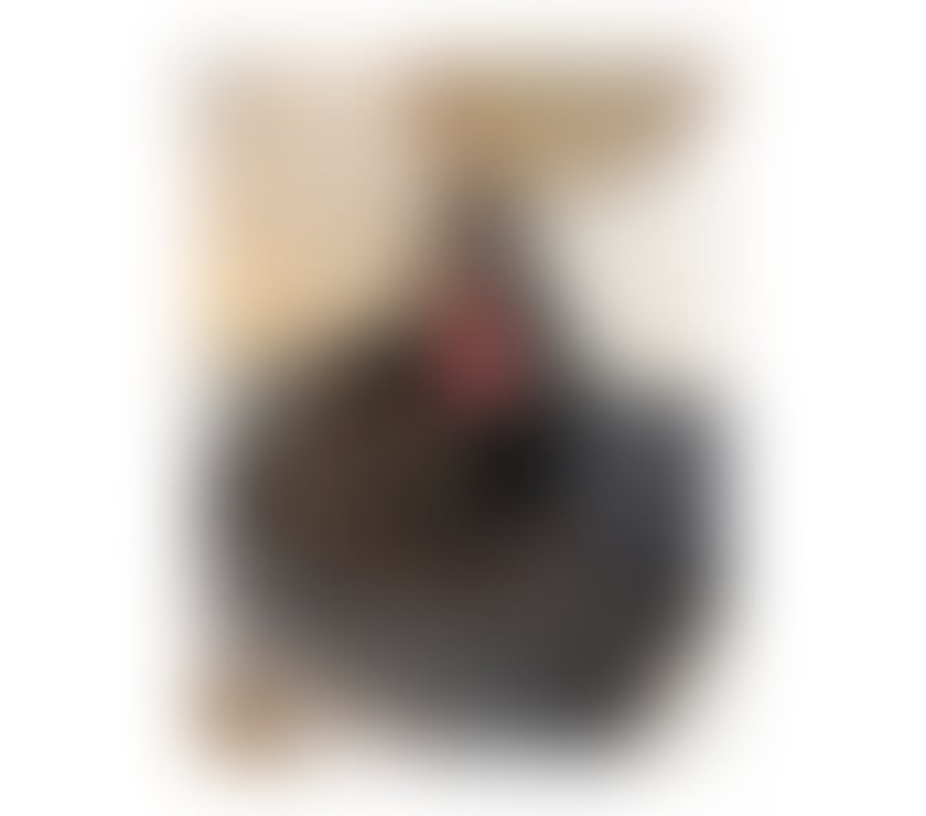 Escorts Hampshire Rushmoor - Photos for EMILY💯 BRUNETTE💯GFE💥