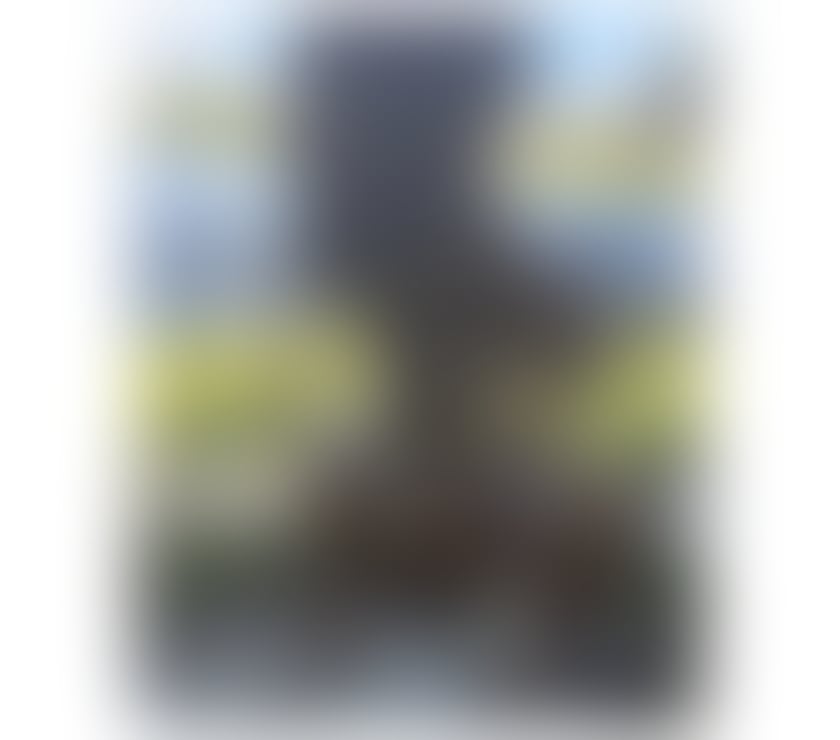 Escorts East London Plaistow - East London - Photos for 🇧🇷LARISSA SEXY✅❤️