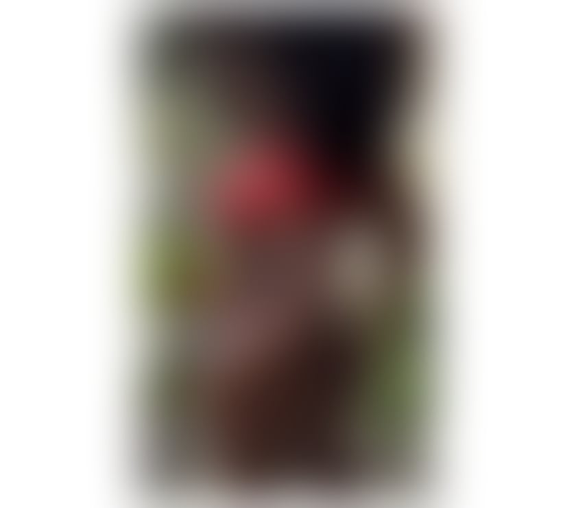 Escorts East London Plaistow - East London - Photos for 🇧🇷LARISSA SEXY✅❤️