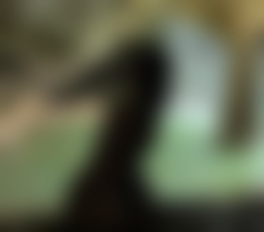 Escorts Glasgow Glasgow City Centre - Glasgow - Photos for Alícia Brazilian Party 🇧🇷🇧🇷🇧🇷