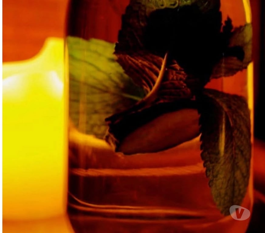 Gay Dating Leicestershire Leicester - Photos for Zen Harmony massages 🌈