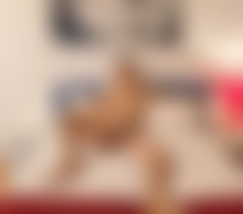 Escorts West Midlands Birmingham - Photos for New in town. Handsome Thai male.07459613393