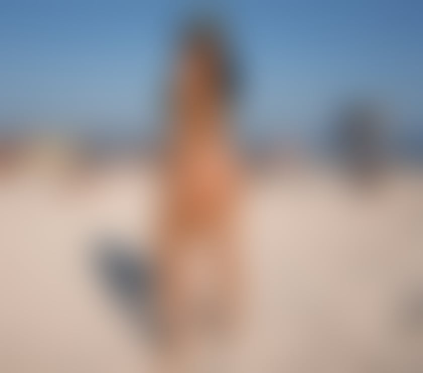 NEW PARTY GIRL IN TOWN 🇧🇷🎊🎉🍯🔥