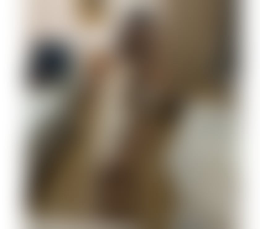 Escorts Essex Chelmsford - Photos for 🇧🇷BELLA NO FAKE ❌ BOOK NOW PARTYGIRL🇧🇷