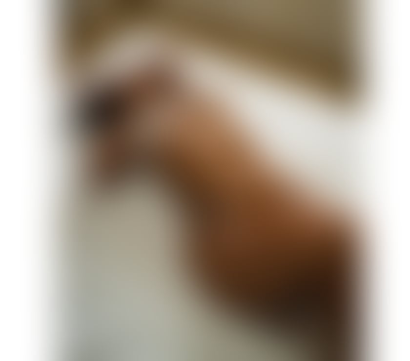 Escorts South West London Richmond upon Thames - Photos for 💖JULIA BRAZILIAN Playful❤️‍🔥no rush gfe PARTY