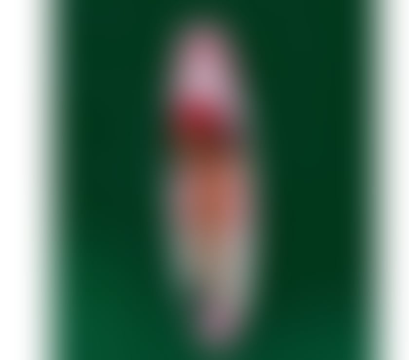 Escorts Central London Kensington and Chelsea - Photos for Good girl Latina