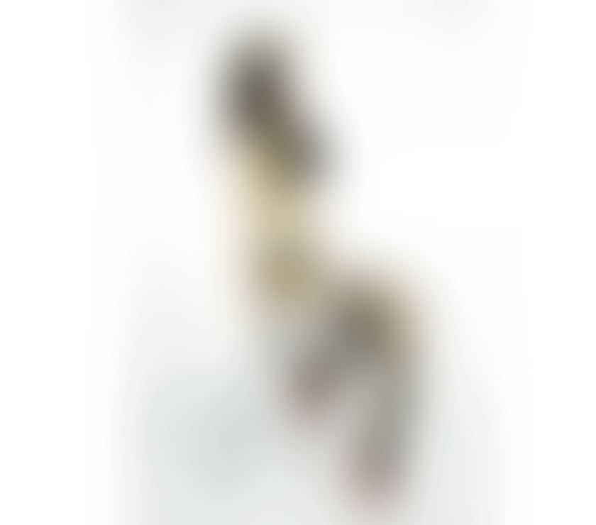 Escorts South East London Lewisham - Photos for Emily UNFORGETTABLE GIRLFRIEND EXPERIENCE & BEST BJ