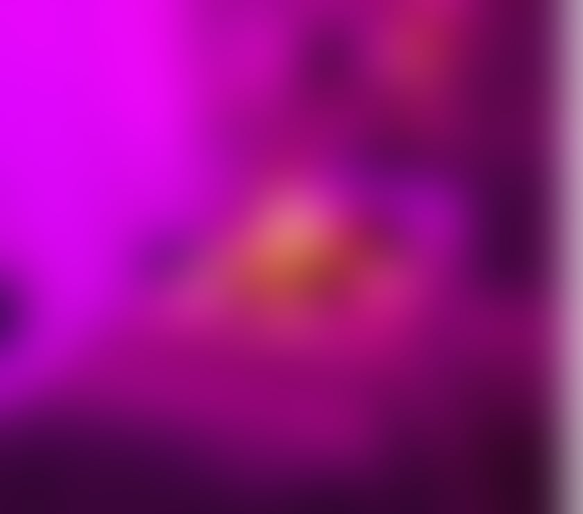 RELAX DAMA 🇧🇷 🇧🇷❤️