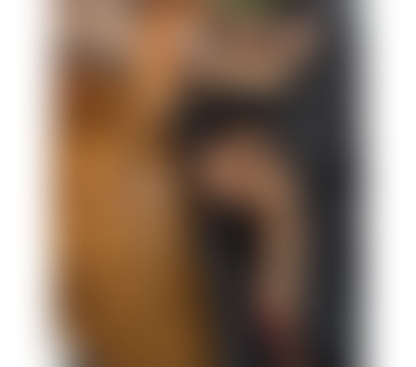 Escorts Greater Manchester Manchester - Photos for Elly ❣️ now in you town❣️NO Rush