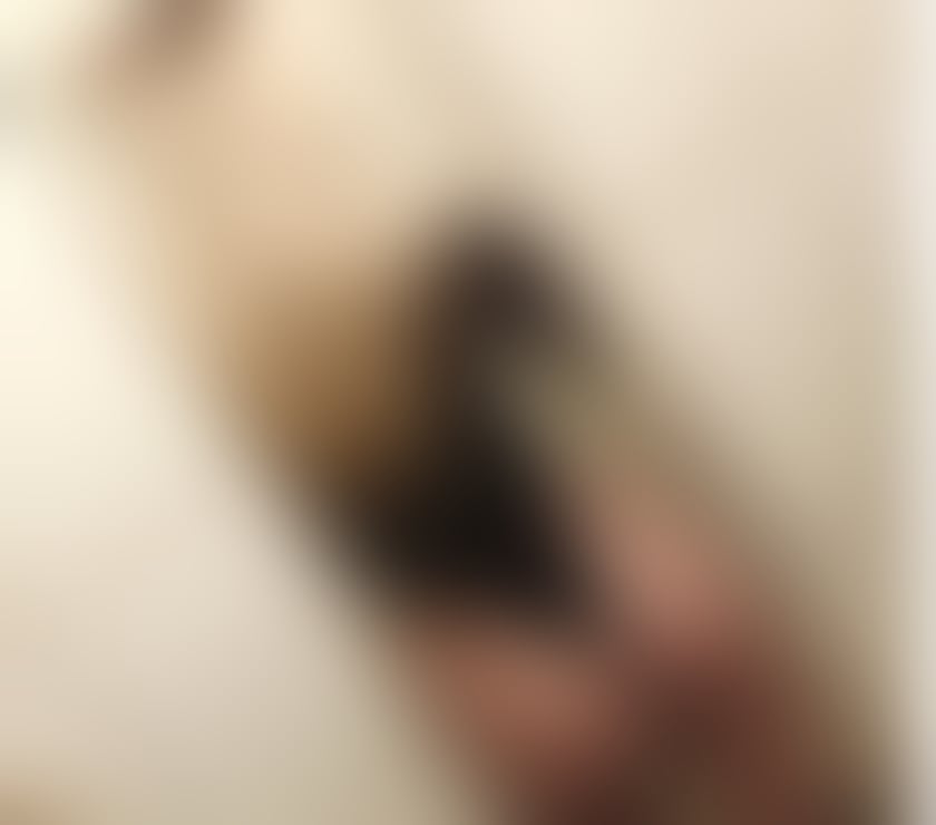 Escorts Greater Manchester Rochdale - Photos for Isabella ❣️new in town ❣️incall &oucall ❣️