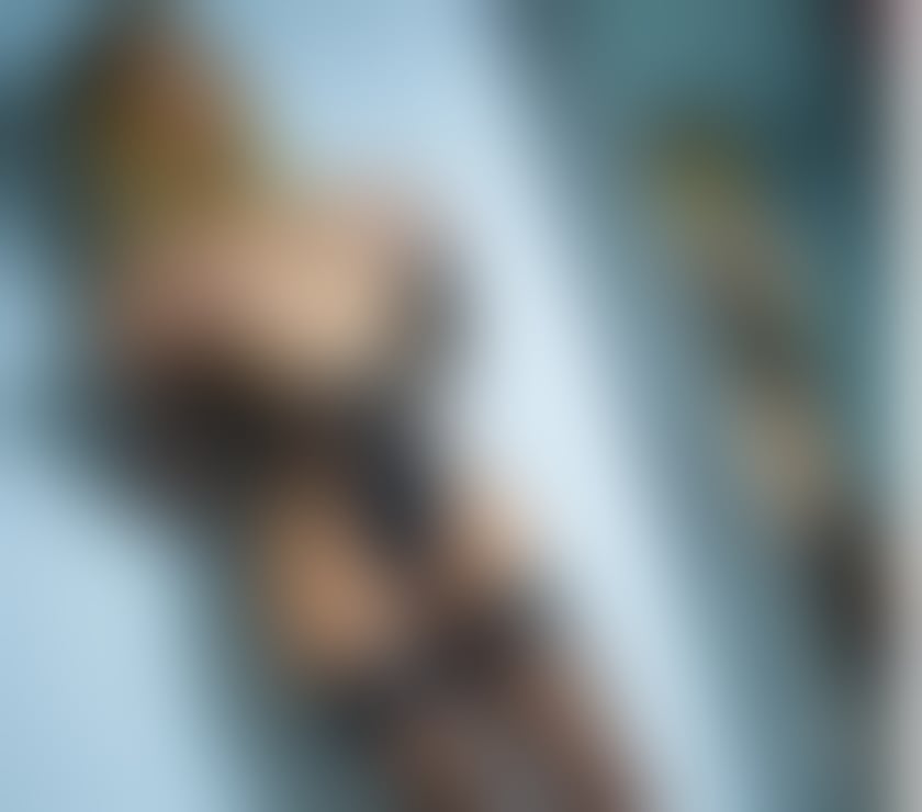 Escort Miles Platting Manchester - Photos for Eve 😊Real 💯💯SEXY SWEET GIRL💛 Incall Outcalll