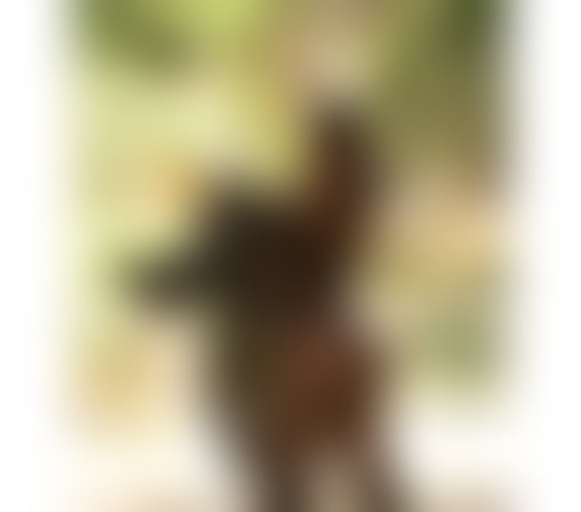 Escorts Newport - Wales Newport City Centre - Newport - Photos for Brazilian native best OwO