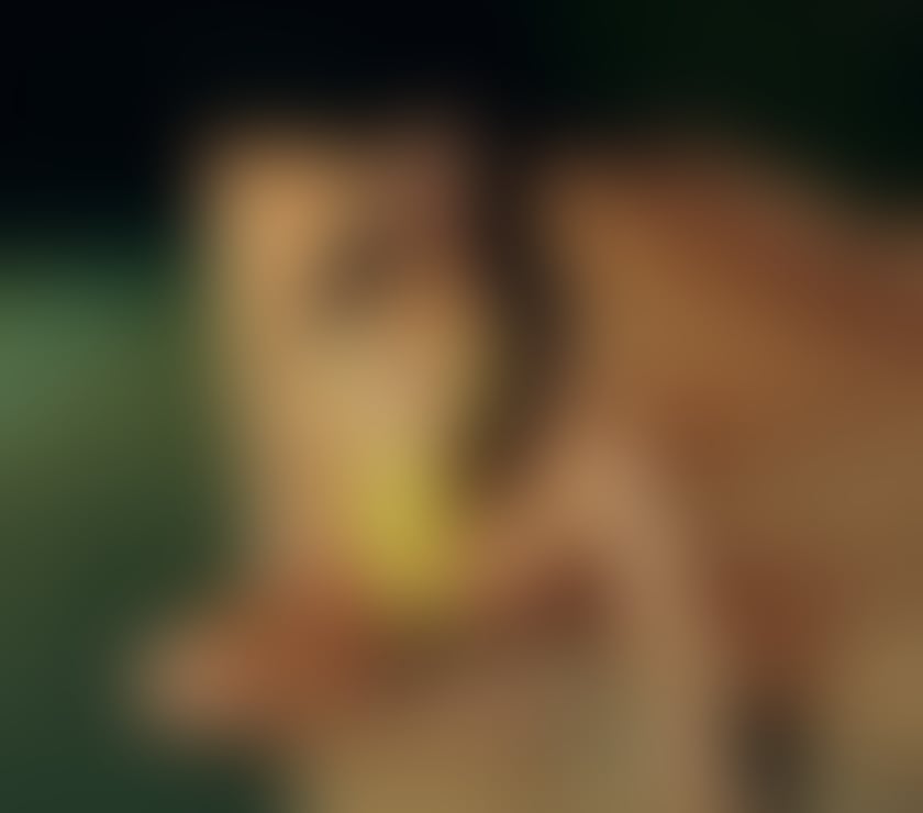 Escorts Staffordshire Stoke-on-Trent - Photos for Hot Brazilian woman in the city🔥🔥🇧🇷