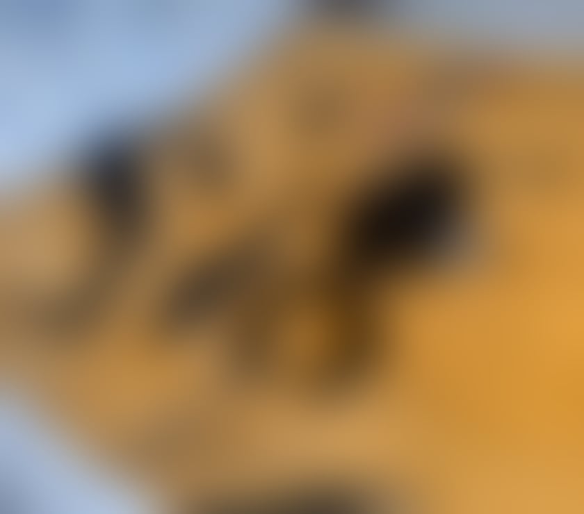 Escorts North Yorkshire Scarborough - North Yorkshire - Photos for 🇧🇷🍑NEW HOT SHAKIRA🍑🍑