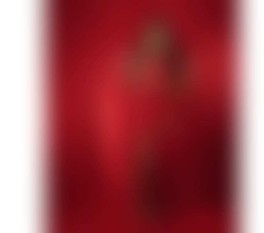 ❤️✨Luiza party girl ✨❤️