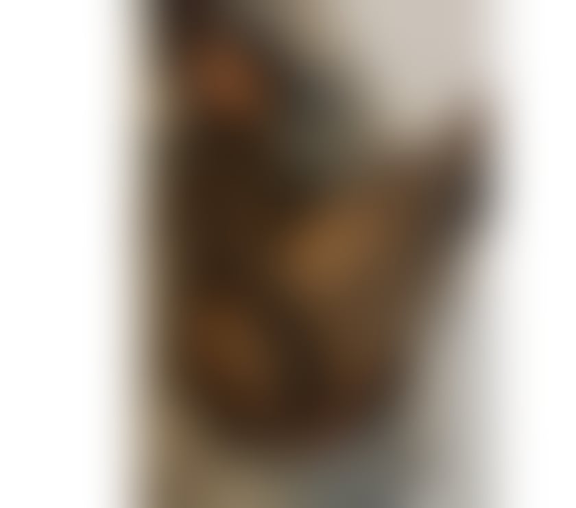 Trans Escorts South Yorkshire Sheffield - Photos for Bby Put me on in 4 and fill me whit you milk