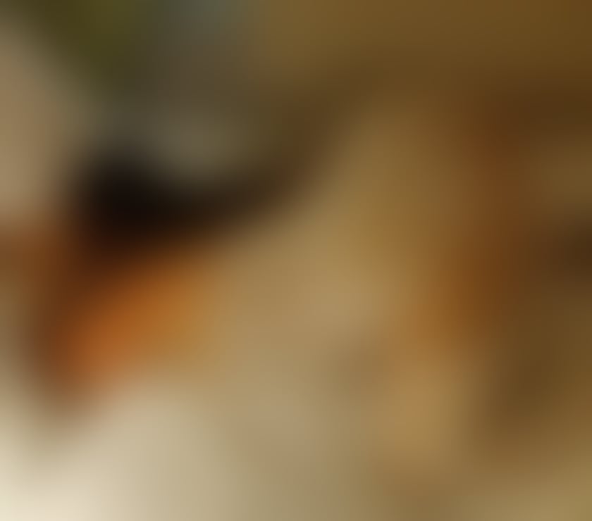 Escort Lozells Birmingham - Photos for 🔞⚜CURVY FULL SERVICE BEST BJ CIM A-LEVELS ⚜🔞