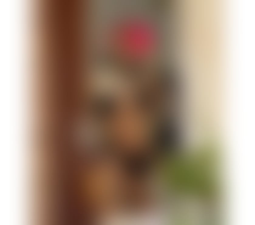 Lexi 💋 fiery new girl in town😈 No Rush