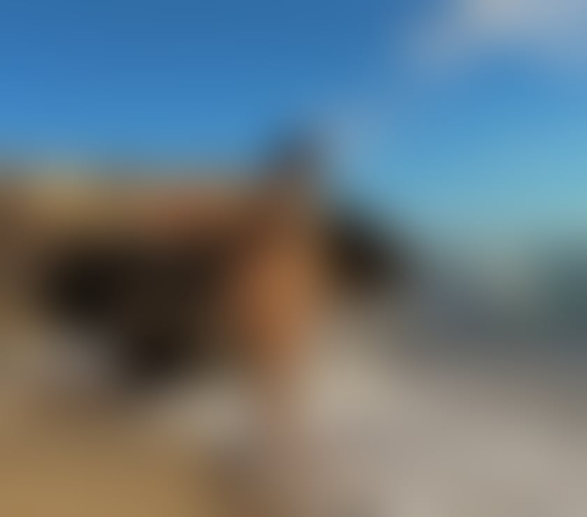 Escorts North West London Wembley Park - North West London - Photos for Dany✅ NO RUSH💋 PARTY🔥