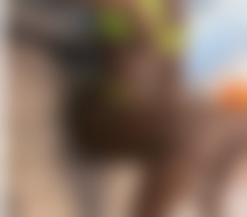 Escorts South Yorkshire Sheffield - Photos for Kiara TheMouthMachine