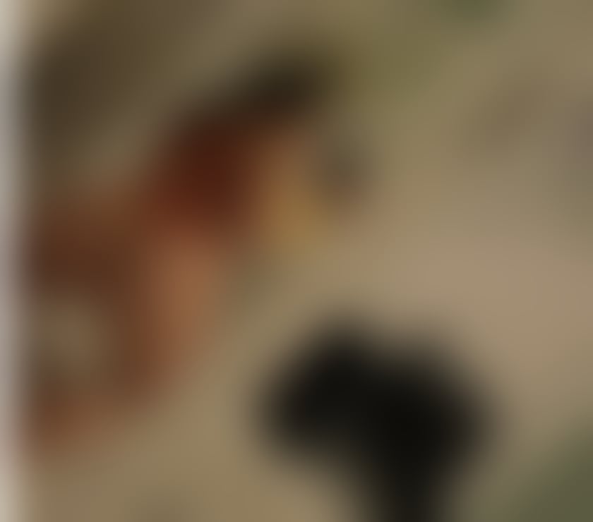 Escorts Cambridgeshire Cambridge - Photos for Sonia💋new❤️party🔞girl in town💋