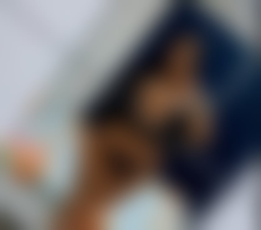 Escorts West Midlands Coventry - Photos for New girll arive on you town 🍑curvy Eva reall pict!