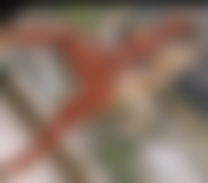 Escorts East London Redbridge - Photos for 🧨👅💦 sexy party girl 👌🏻💦💋🔥