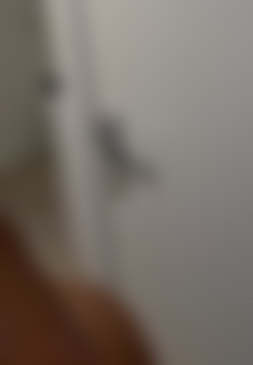 Escorts North London Wood Green Station - North London - 