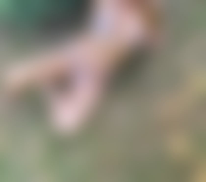 Escorts North West London Hendon Central - North West London - Photos for Blonde Fit Charlotte