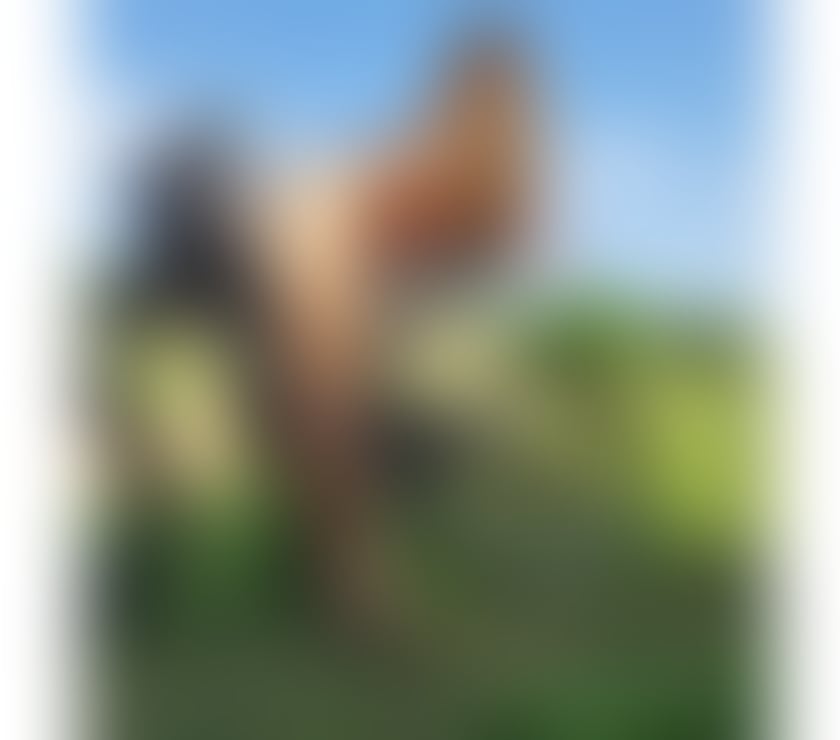 Escorts Woodston Peterborough - Photos for Hello💞real💞best experience 💞incall&outcall🔞New