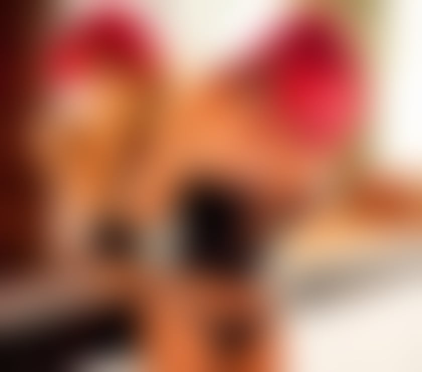 Trans Escorts Essex Brentwood - Photos for Ts Erika Schinaider The hottest in your Town