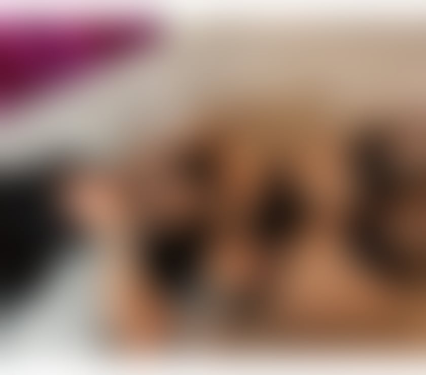  Escorts Plymouth City Centre Plymouth - Photos for Queen of BJ 🤤😈100% real